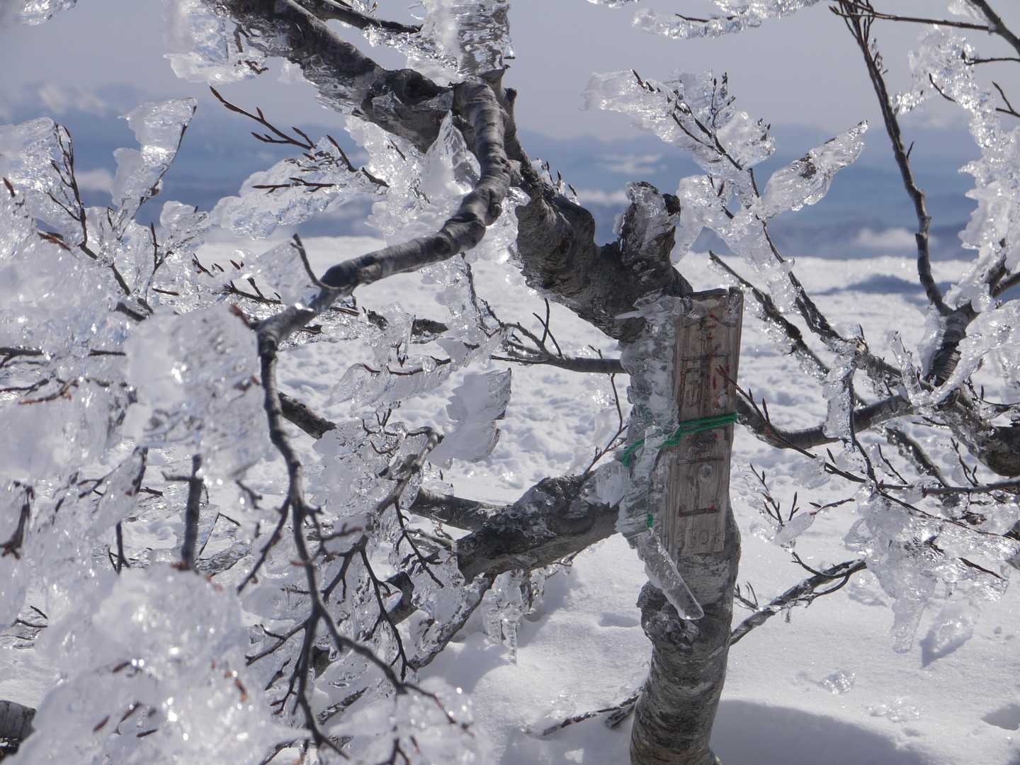 中金剛堂山到着