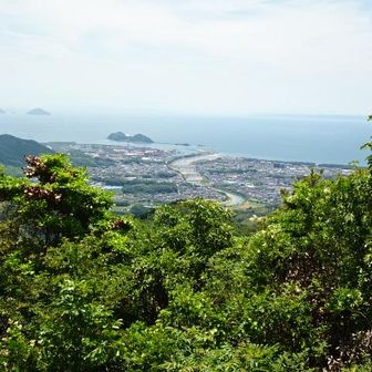 光市