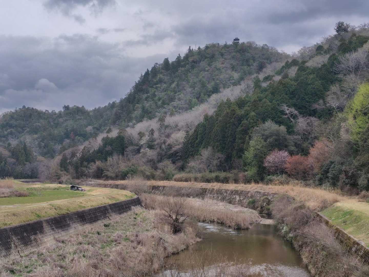 周回路になる公道から城ケ根山展望台を📷‼️