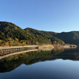 めっちゃいい景色