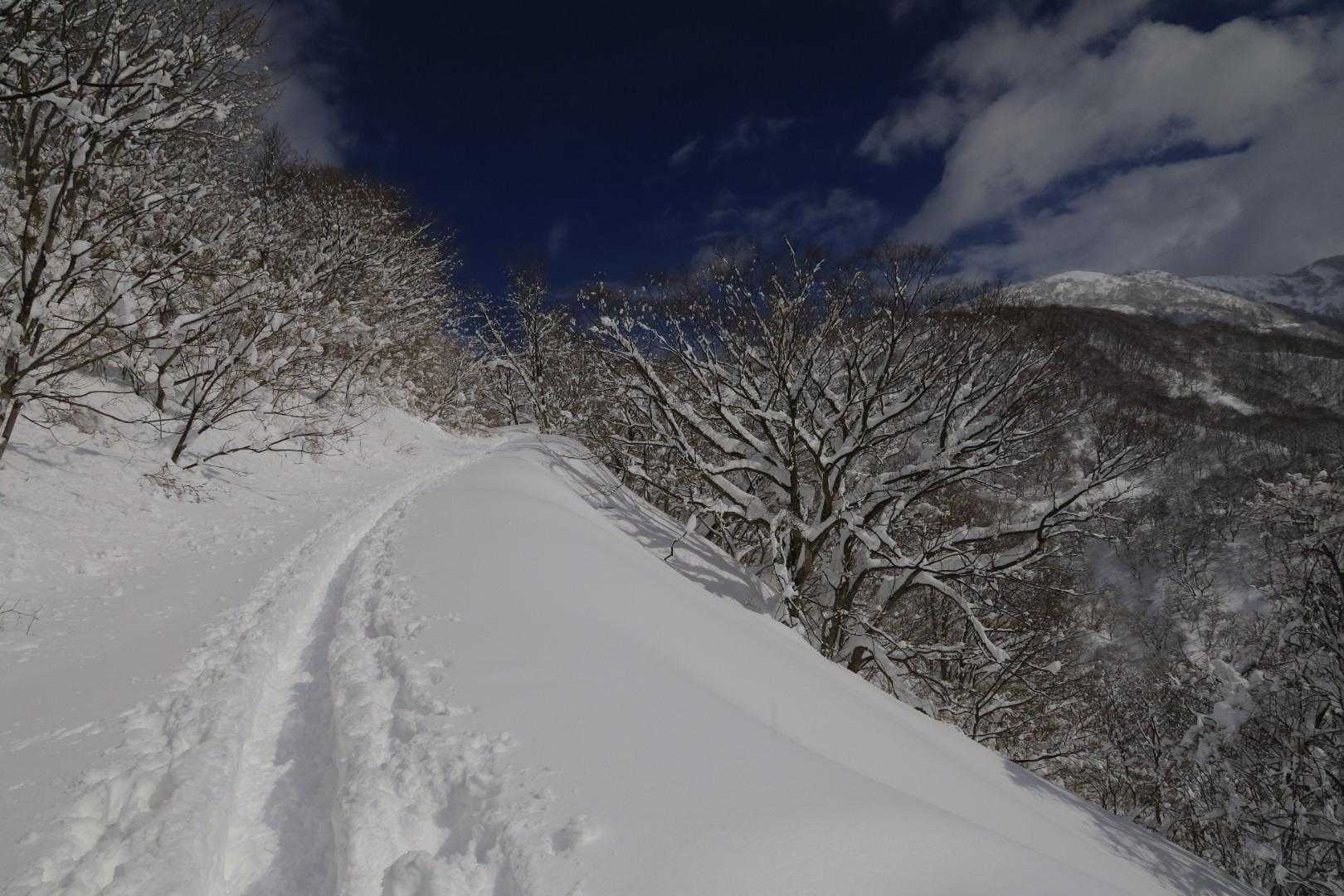 見上峠-白兀山 往復コースの写真