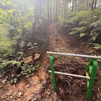 ここが四寸道の入口
この後は駐車場までロード歩きです