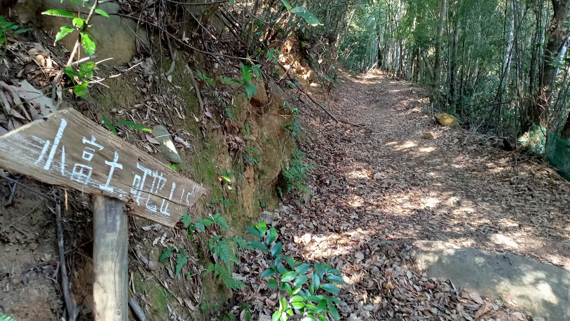 ここから山道へ