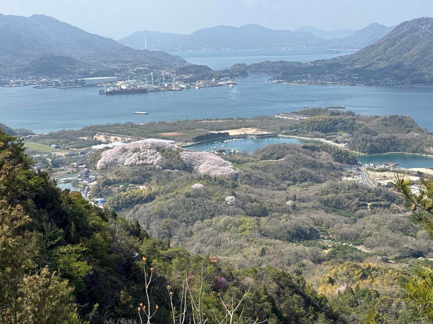 明神山-狗山-大平山 縦走コースの写真