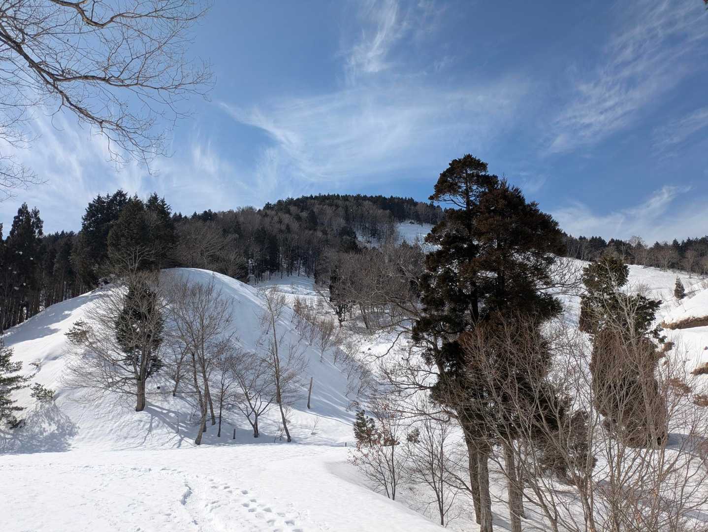 江浪峠-三国平-天児屋山 往復コースの写真