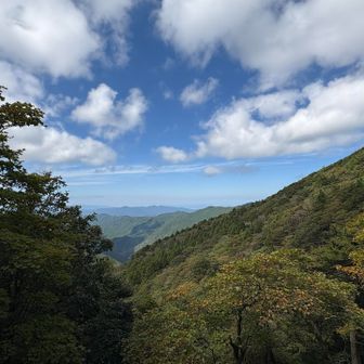 微かに色づき始めた木々に秋の雰囲気🍂