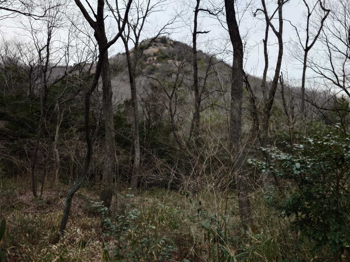 さっき居た山頂を仰ぎ見る
わずか１０分前に居た場所