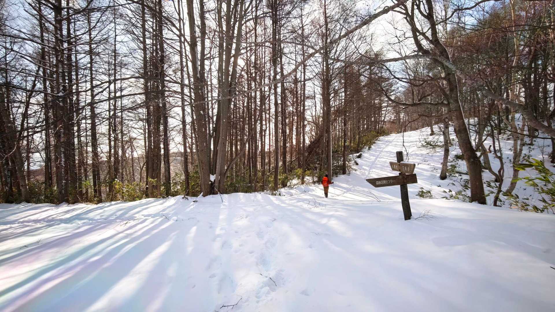 白旗山森林活用センター-月寒台-札幌台-白旗山 周回コースの写真