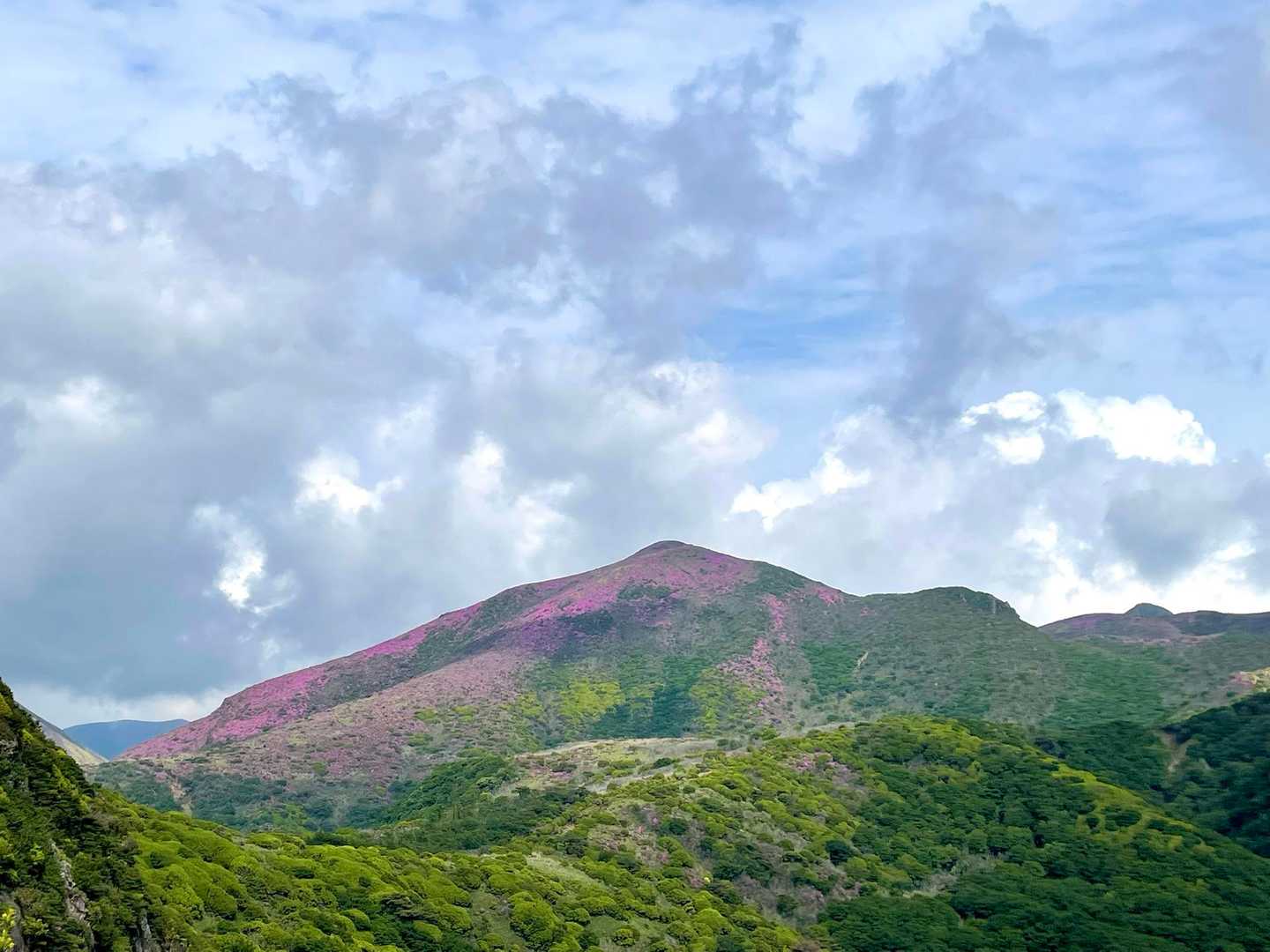 ミヤマキリシマに酔いしれてアタマがおかしくなり、下山後に大きな勘違いを😆
アタマおかしくなるくらい酔いしれました🌸🌸
無事下山できたことに感謝🙏
売店に行方不明の方のポスターが…
早く見つかってほしい🙏
今回のこととは関係ないですが、日帰りでも、低山でも、ヘッデンやレインジャケット、救急セットなど持っていきましょうネ👍
大丈夫ってことはないから…
最後までありがとうございました😊🍃🍃