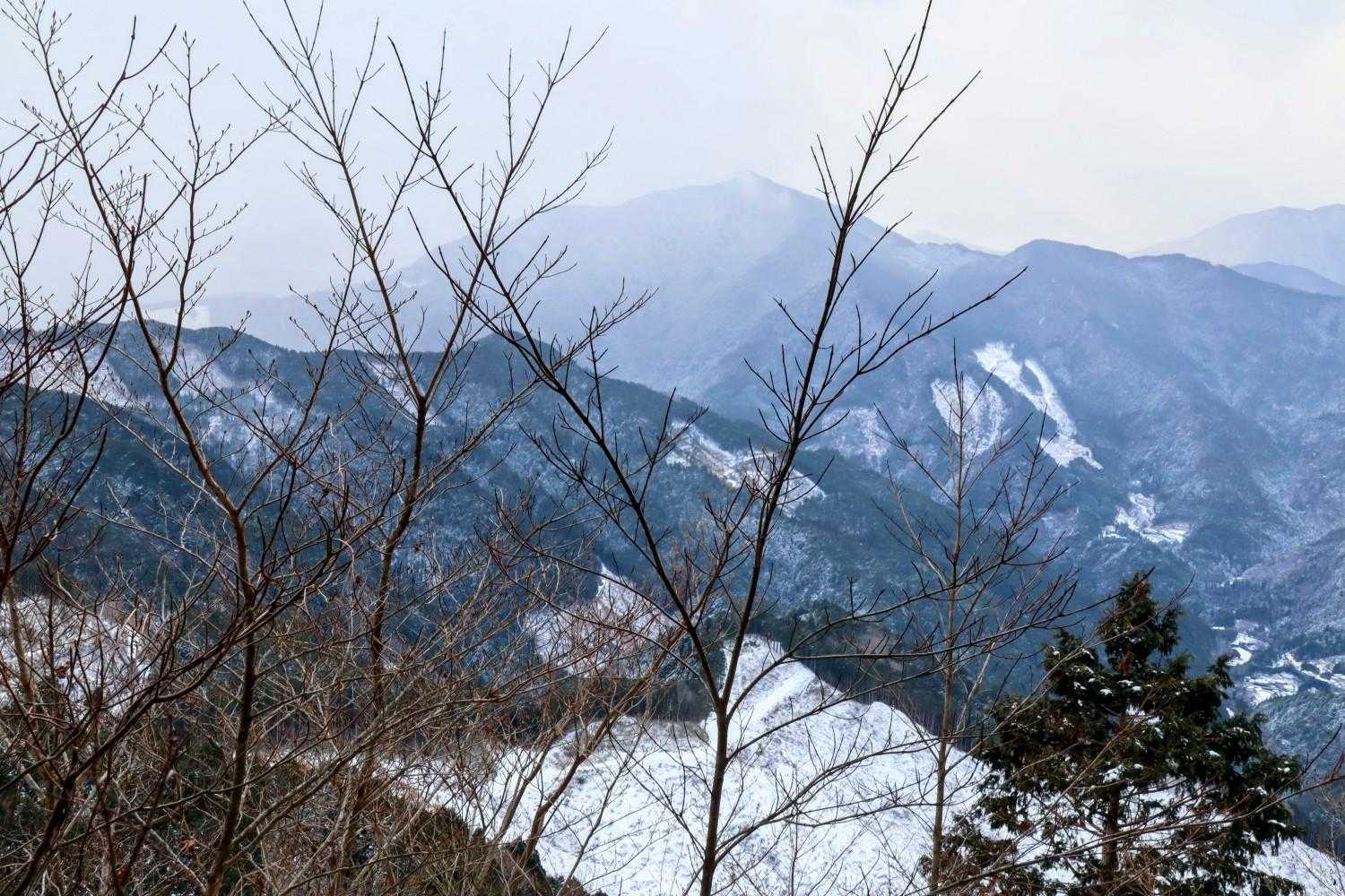 本日は唯一の展望