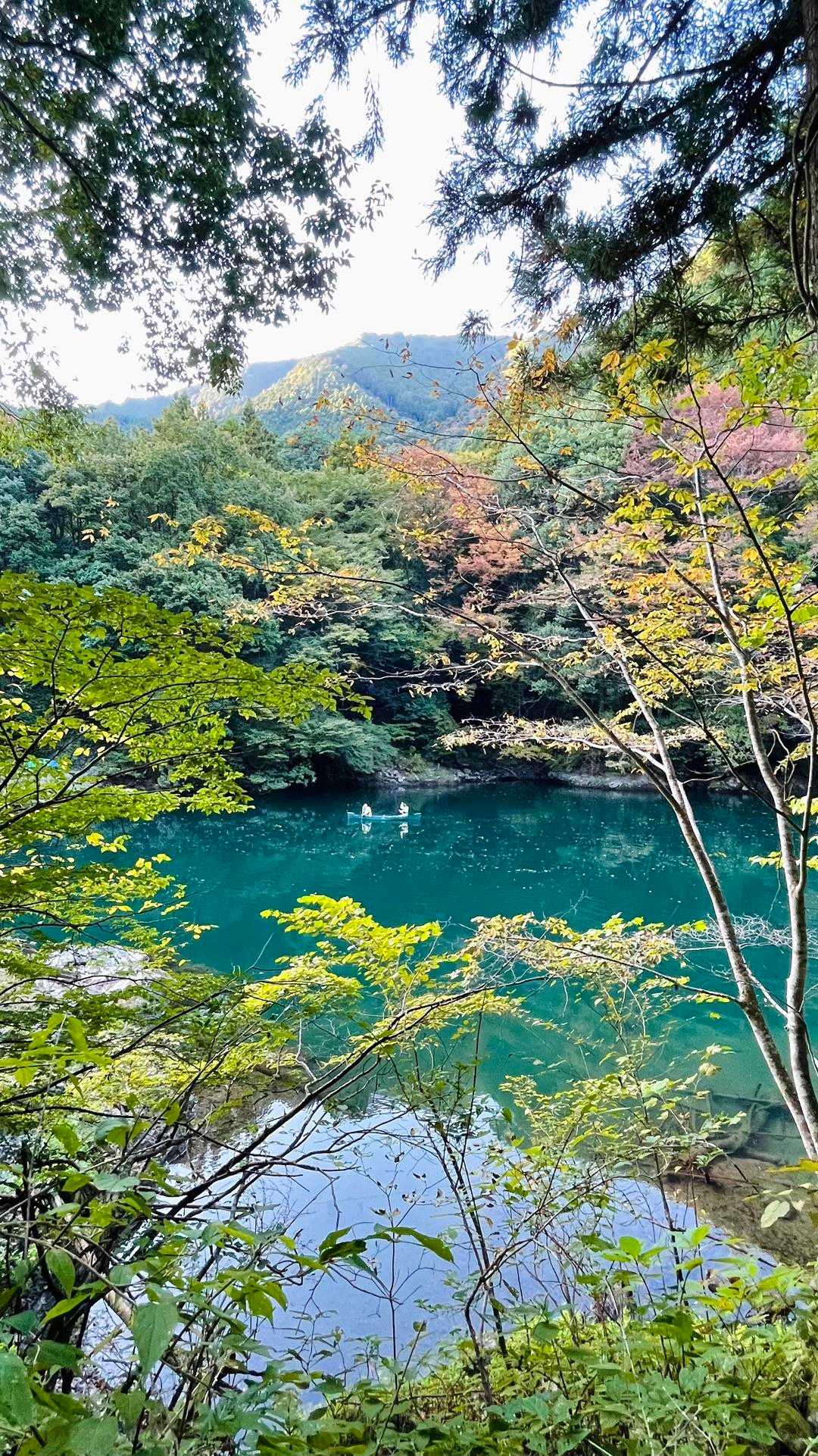 少し葉が色づいてますが、紅葉の頃は綺麗でしょうね〜