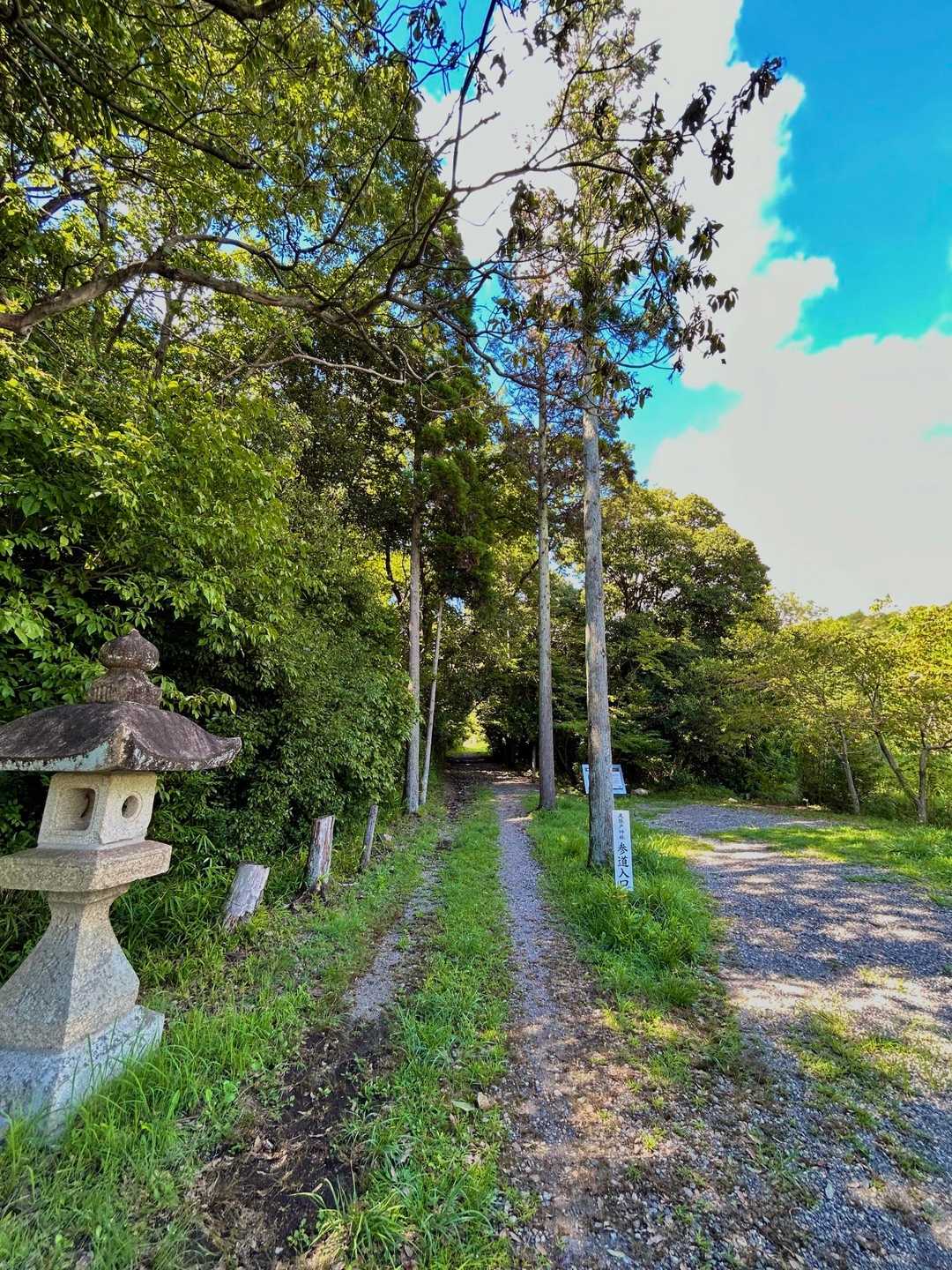 蝉時雨がクマゼミからツクツクボウシに変わりました。秋近し。
