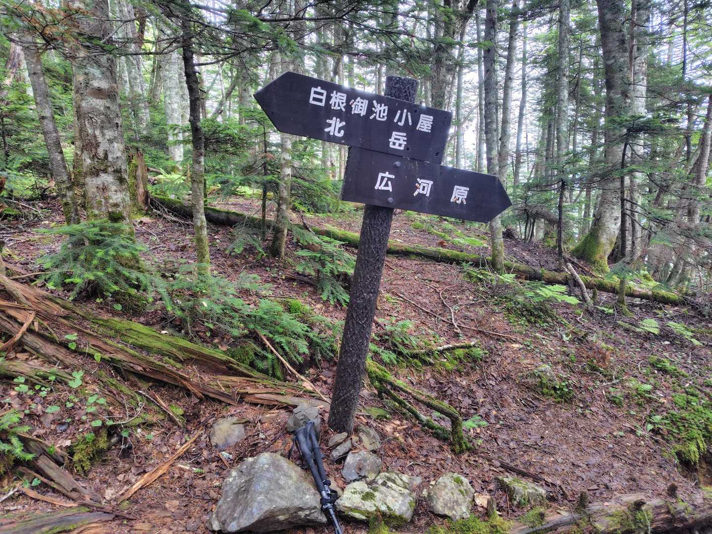 この道標の少し先が標高2200m付近のトラバース開始地点💡