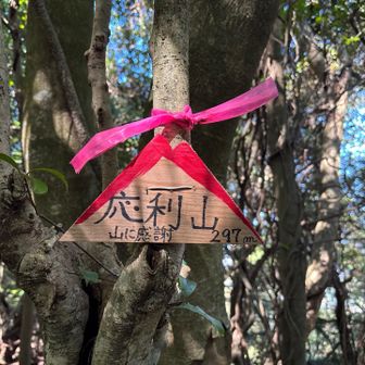 応利山登頂
眺望なし