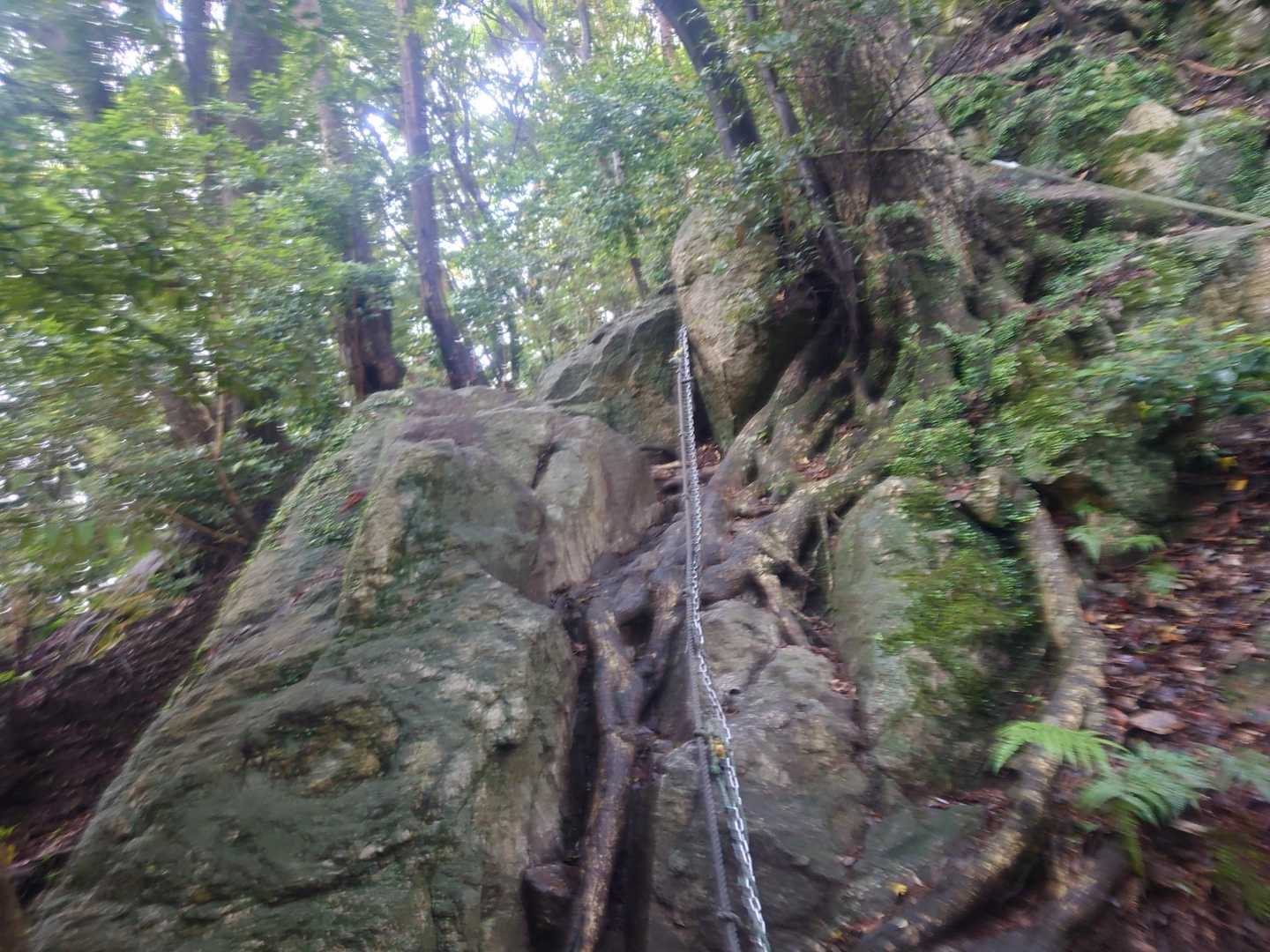飯盛山-日向山-高地山-叶岳-叶岳登山口 縦走コースの写真