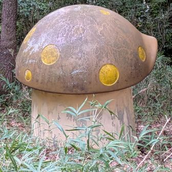 毒きのこ🍄