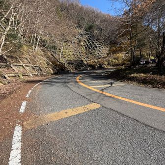 ロード歩き！  バイクも車も颯爽と横を走ってく🚗³₃