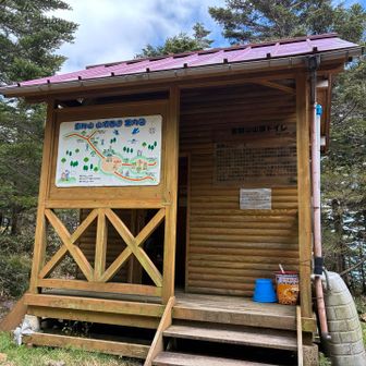 トイレあったけどハエだらけで用を足す勇気はなかった