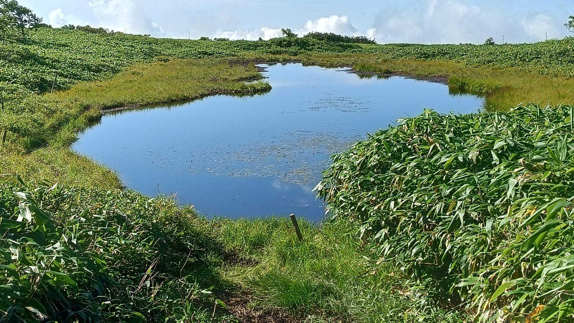 雲井沼