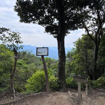 高地山の山頂