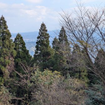 桂川方面が見える