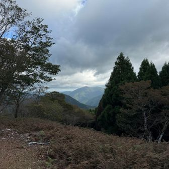 皆子山山頂より今年の2月に登った武奈ケ岳がよく見える