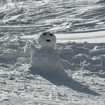 ホッコリ疲れが取れる。可愛い💕
無事下山。

見て頂きありがとうございました😊