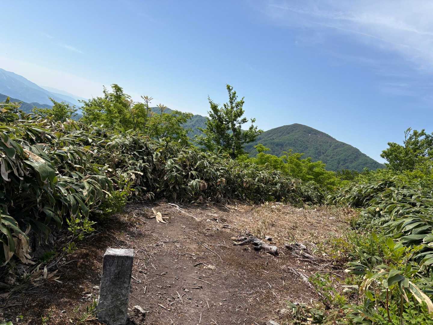 山頂はあと5分　の言葉に導かれ…
大日山の方に　足を踏み入れて🦵🫣…
