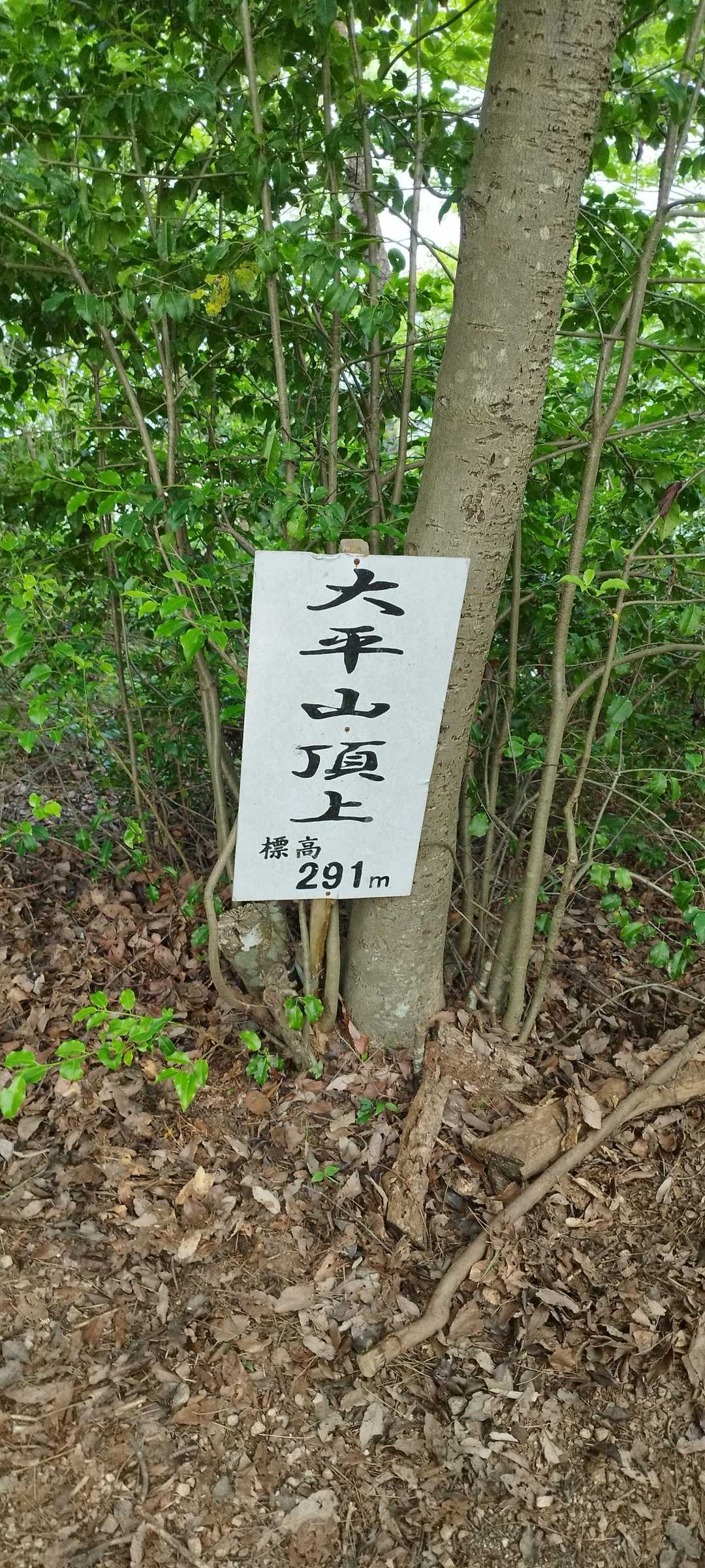 到着!