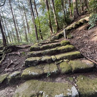 頂上からずーっと石段を下山😍