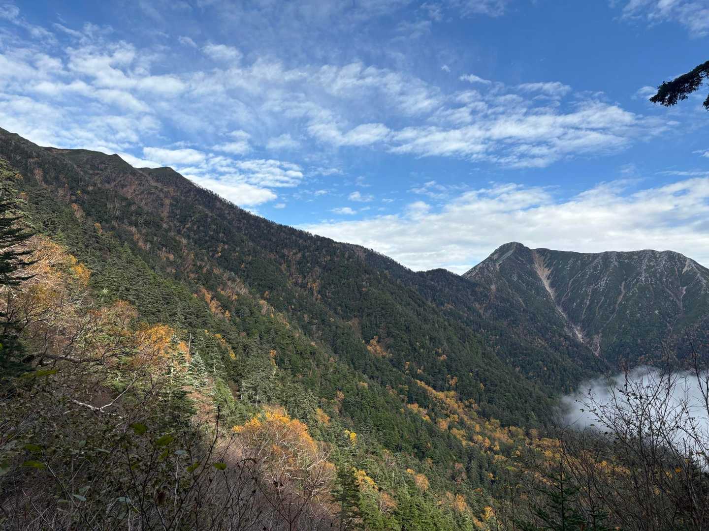 三股登山口-蝶ヶ岳-蝶槍 往復コースの写真