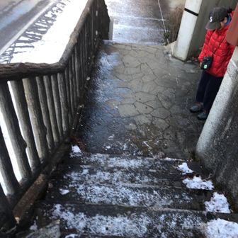 バス停。凍っていて滑った。