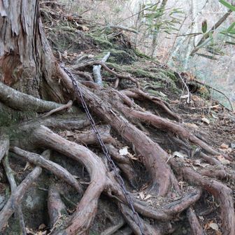 一瞬、登れる場所が見つかりません。そうしたら、鎖が・・・・