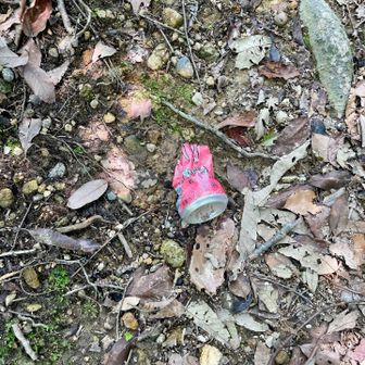ゴミを拾って清掃登山に参加🧹🗑️