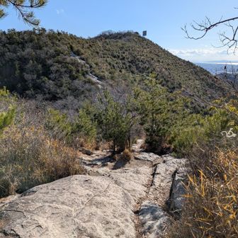 最後の下りと、登り👣
もうすぐ頂上！