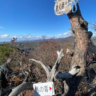 東大ヶ岩
とても良い天気☀️