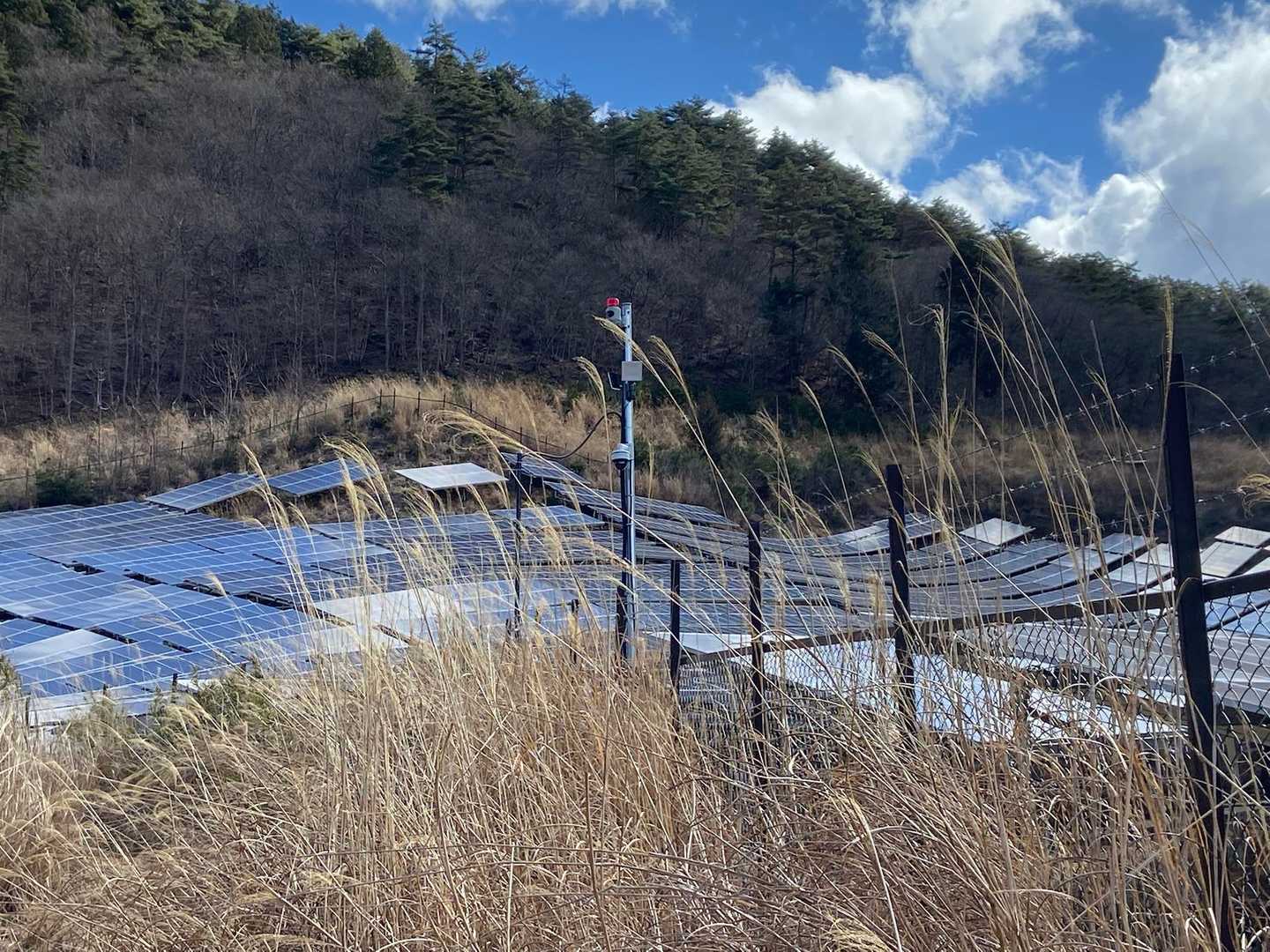 小倉山-上条山-上条峠 周回コースの写真