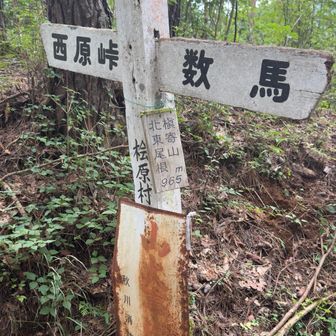 槇寄山北東尾根