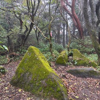 坊主山山頂の三角点