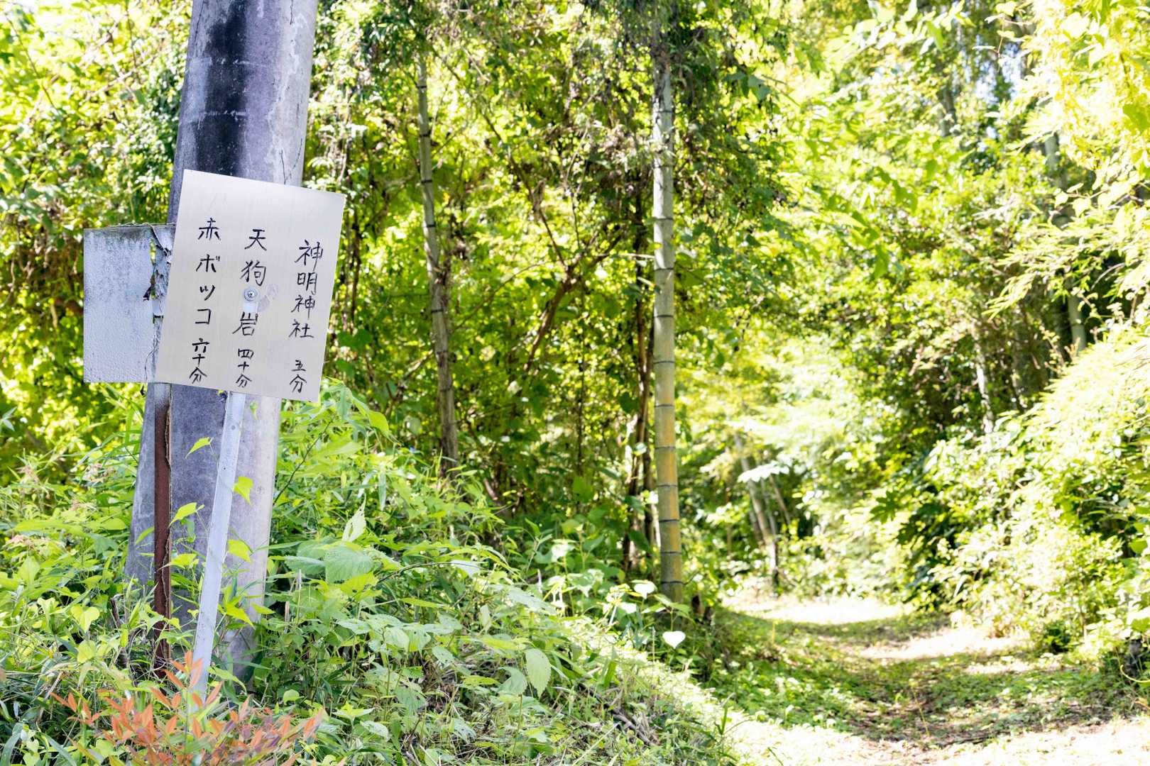 無事に下山

ここから一般道が長い