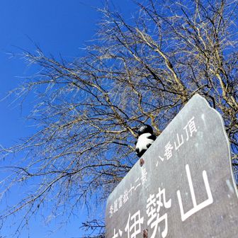お伊勢山ついたー🙌🐧
秀麗富嶽十二景を選定した写真家、白旗史朗の顕彰碑もあります。