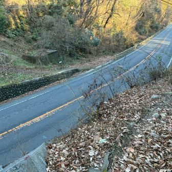 秋川街道を渡り最初のピーク
倉戸山に向かいます