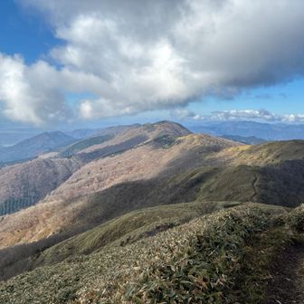 滝山までの道も最高