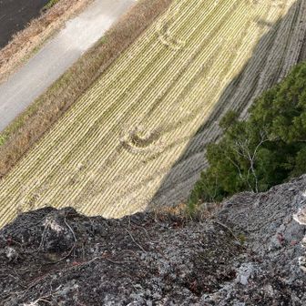 かなりの高度感！
おヘソのあたりがヒュンヒュンしたよ😳💦