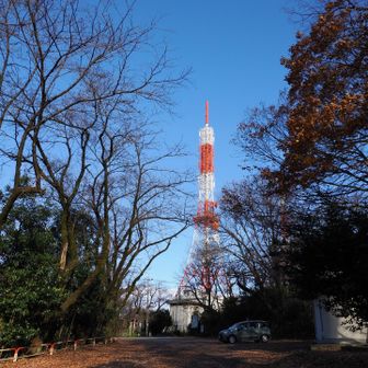 暖かくて気持ち良い年末☀️