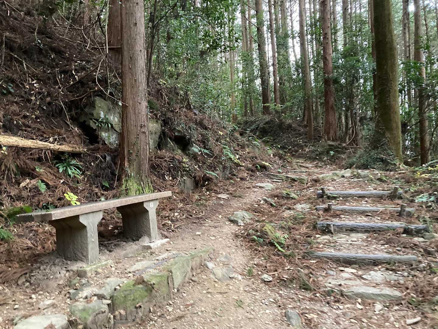 所々にベンチがあります