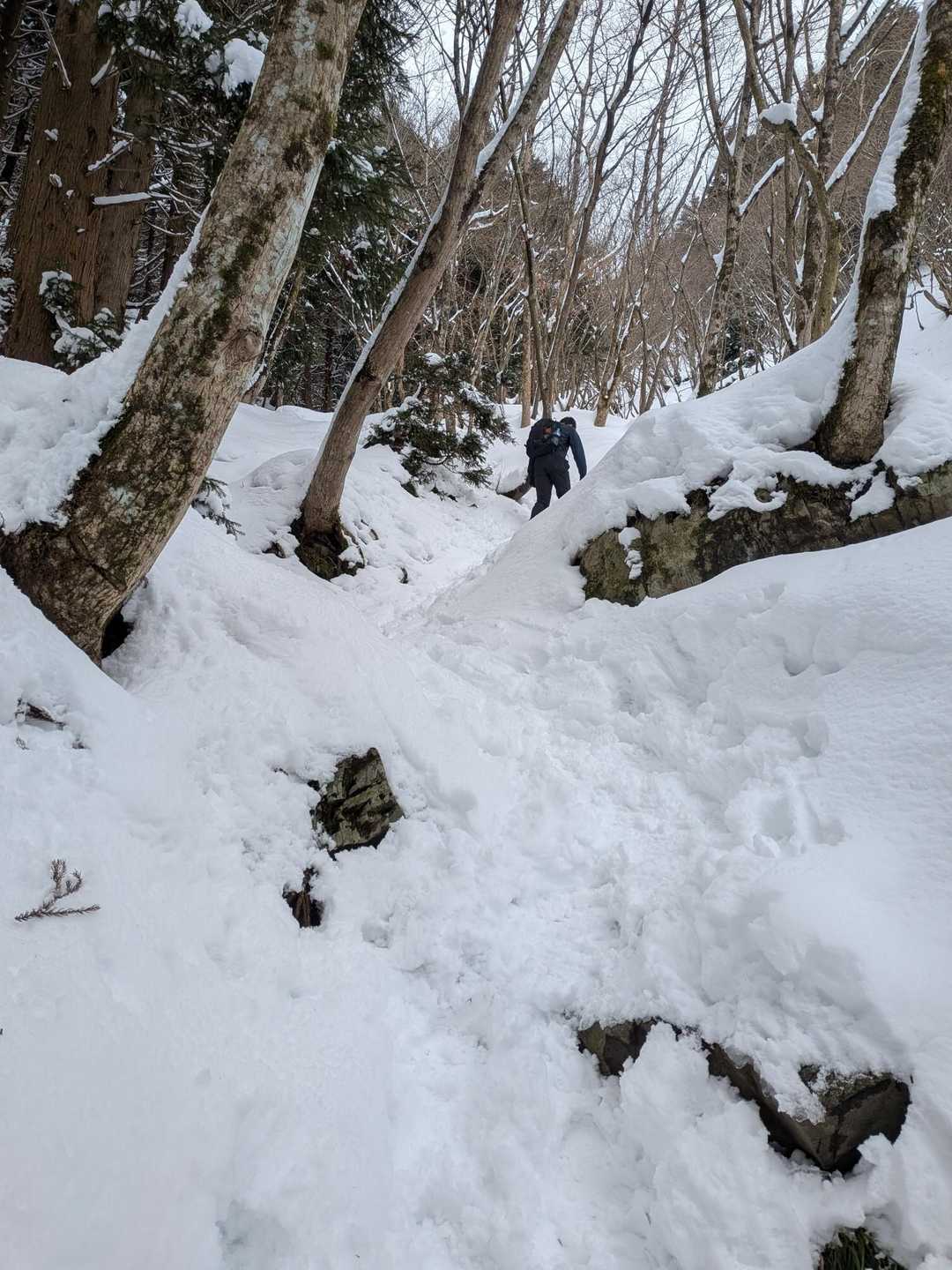 雪が出てきました😁