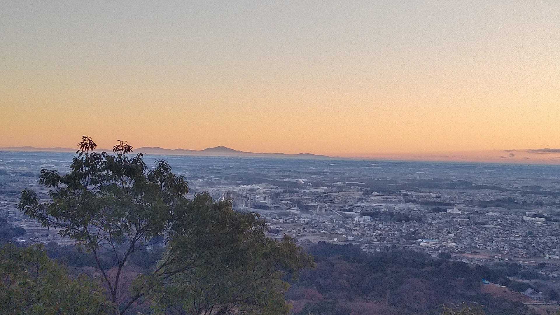 あさひは見られませんでした