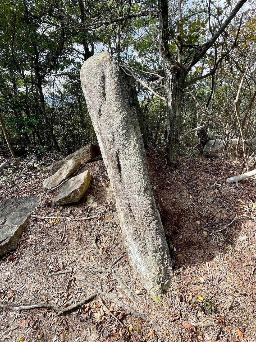 横から見たらなんとも薄っぺらい事…