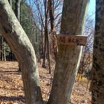 関取岳。前歩いた時はYAMAPピークではなかった気がする。
🎂誕生日に🔺ふんどし山もセットでゲットですね、にいにさん！